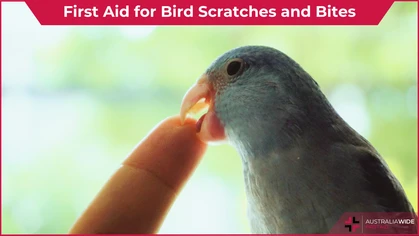 Bird Scratches and Bites article header