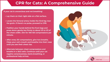 CPR Cats article header