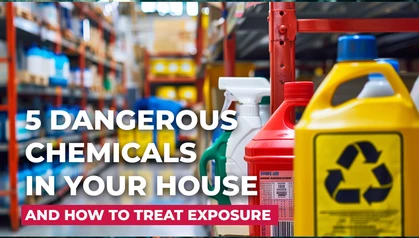 Dangerous Chemicals in House article header