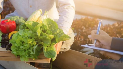 man checking and picking up organic fresh vegetable in hydroponic farm and writing record document grow of leaf for quality produce, small business owner concept, banner website.