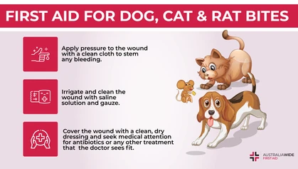 Here in Australia, it is not only our wildlife that can deliver painful and potentially dangerous bites. In fact, most animal bites in Australia are caused by dogs. Today, we look at the first aid procedures for the most common animal bites in Australia. 