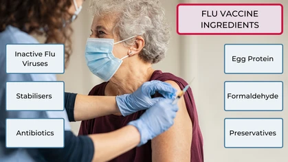 Vaccines are design to stimulate the production of antibodies to provide immunity against an infectious disease. Flu vaccines comprise inactive versions of flu viruses, and a variety of ingredients that enhance their purity, potency, and effectiveness. 