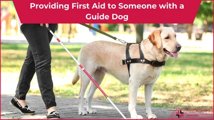 Guide dog article header