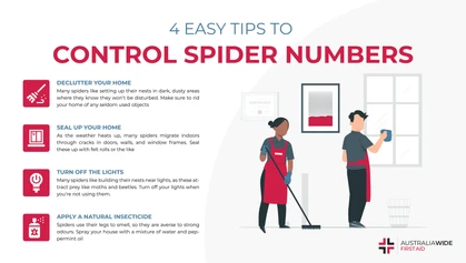 There are several spider species in Australia that like building their nests in and around the family home. Use these 4 simple tricks to keep their population numbers under control. 