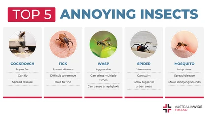 As we head towards the summer months, insects will increasingly venture inside to escape the heat. Though it's never nice to run into an insect in the home, there are a handful of insects that are particularly annoying. 