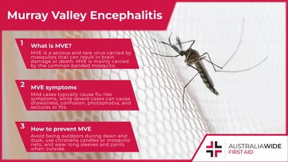 Murray Valley encephalitis is a serious and rare virus carried by mosquitos that can result in brain damage or death. The best way to prevent infection by Murray Valley encephalitis is to protect yourself from mosquito bites.
