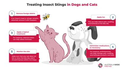 Insect bites and stings are relatively mild injuries for our pets. As pet owners, we can provide first aid to improve comfort and ensure safety. 