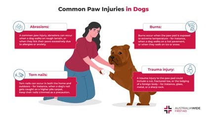 A dog paw injury is typically not life-threatening and can be managed using basic first aid principles. 