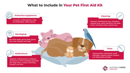 Pets can sustain injuries or become ill anywhere and at any time. However, while waiting for professional help, you can manage your pet's condition and promote their comfort with a pet first aid kit. Here is how to build a comprehensive first aid kit for pets. 