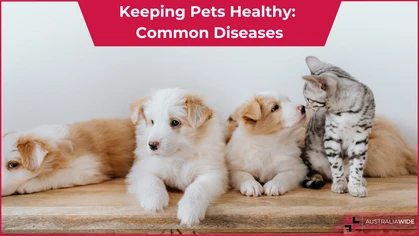 Keeping Pets Health