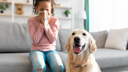 In Australia, food allergy now affects 1 in 10 infants and about 2 in 100 adults. However, food is not the only allergen affecting Australians. According to Healthdirect, about 1 in 5 people have a pet allergy, which is mostly attributed to cats and dogs. 