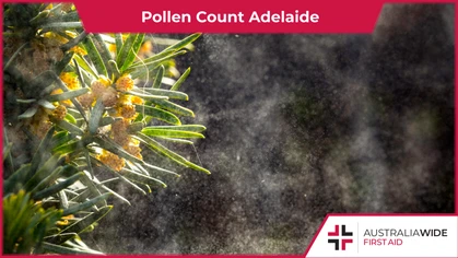 Pollen counts like the Adelaide Pollen Count forecast the level of pollen in the air. Pollen can trigger symptoms of asthma, a chronic condition in which the airways narrow and make breathing difficult. 