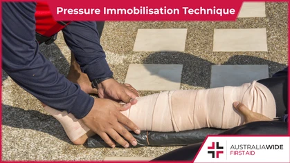 The Pressure Immobilisation Technique is a first aid treatment that is recommended for managing bites and stings from snakes, Funnel web spiders, and a host of other venomous creatures. 