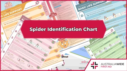 Australia is home to approximately 10,000 spider species. In this downloadable chart, we identify and describe nine of Australia's most common spiders. Some of these spiders inflict only mild bites, while others contain venom that is highly potent and toxic to humans. 