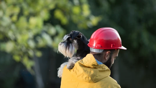 Dog Being Carried by Fireman 
